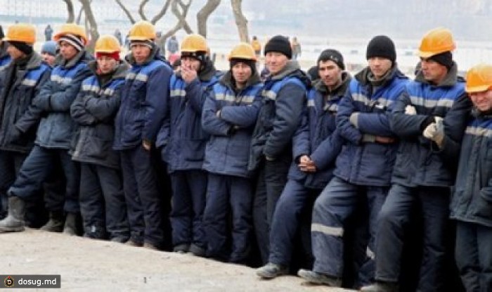 Молдавских нелегалов задержали в Московской области