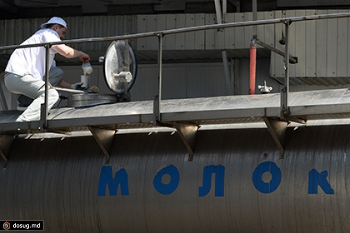 Молочники пожаловались в Минсельхоз на сговор переработчиков