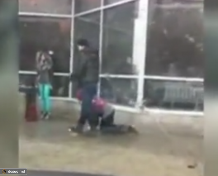 Молодой человек выгулял свою девушку, как собаку. ВИДЕО