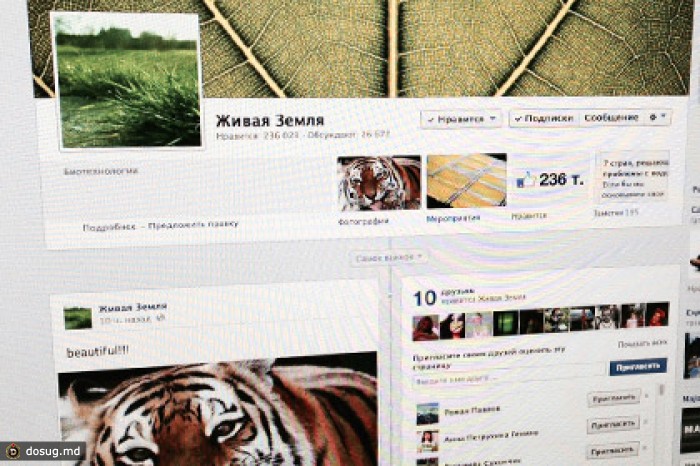 Мошенники захватили в Facebook сообщества Cheaptrip и «Живая земля»