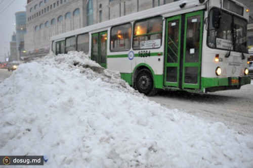Московские автобусы нарушили ПДД 18 тысяч раз