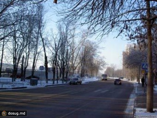 Московские полицейские подрались с лжебеременной