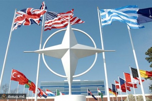 НАТО предоставит Молдове помощь в сфере кибербезопасности