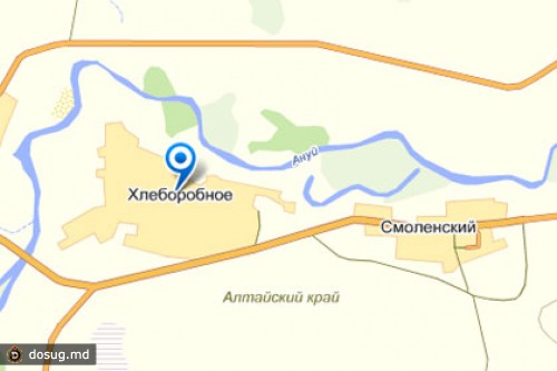 На Алтае застрелился окруженный полицией всадник-убийца