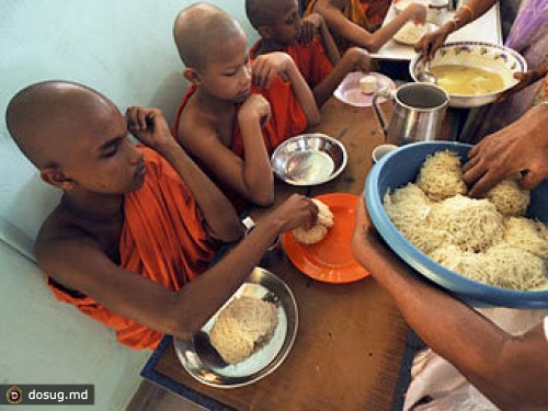 На Шри-Ланке регламентируют вкусные подаяния для монахов