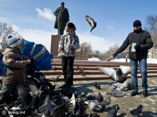 На митинг ЛДПР в Южно-Сахалинске никто не пришел