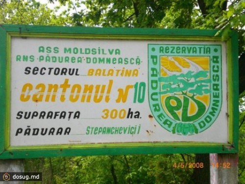 
 На охоте было незарегистрированное оружие
