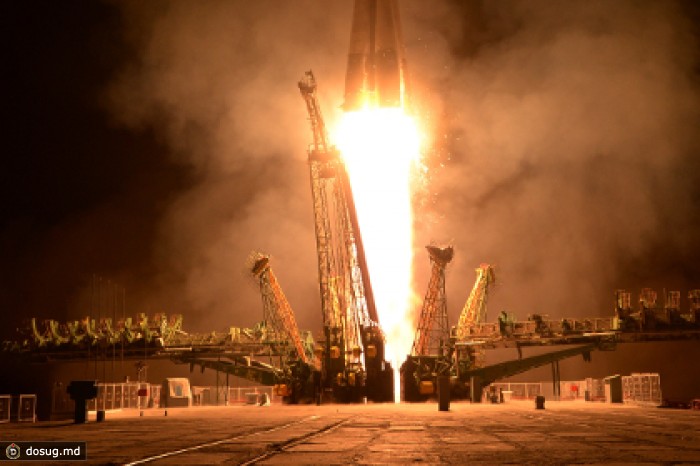 На орбиту отправился спутник с мухами и яйцами шелкопряда