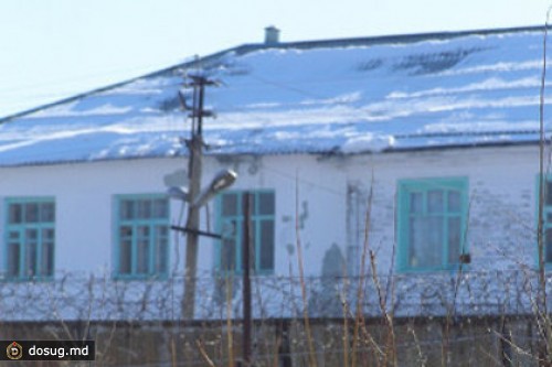 На сотрудников вологодской колонии завели дело за гибель заключенных