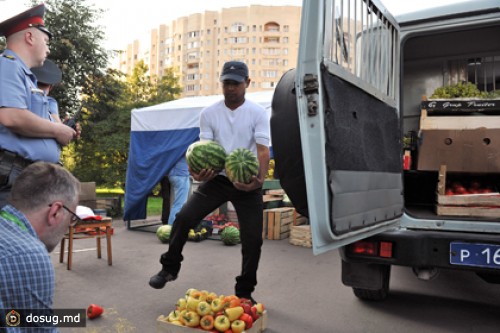 На землях Минобороны обнаружили нелегальный рынок