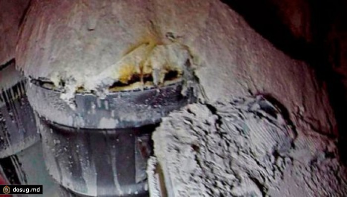 Наполнитель для кошачьего туалета стал причиной ЧП в хранилище ядерных отходов
