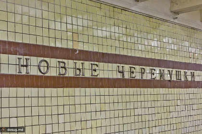 Нарушивший движение поездов на Калужско-Рижской линии метро задержан