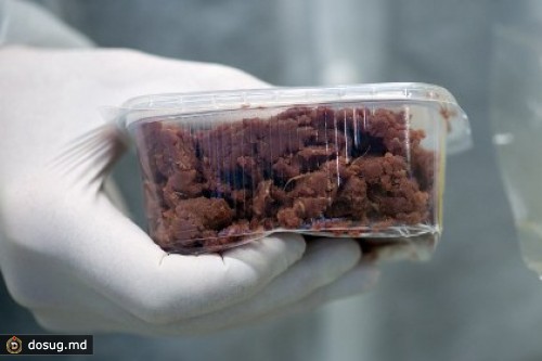 Немецкий министр предложил накормить кониной бедных