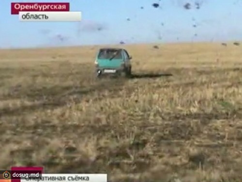 Оренбуржца лишили прав на вождение трактора за бегство от полиции на "Оке"