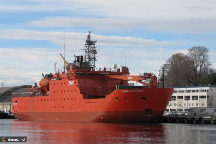 Пассажиры «Академика Шокальского» прибыли в Австралию