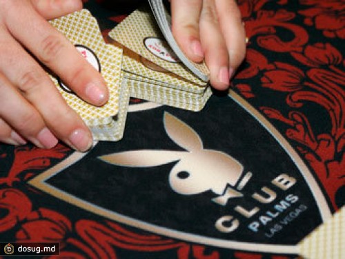 Первый пляжный клуб Playboy откроется в Индии