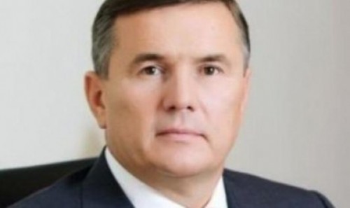 Плешка: Заявление Маринуцы о готовности Молдовы отразить нападение - абсурд