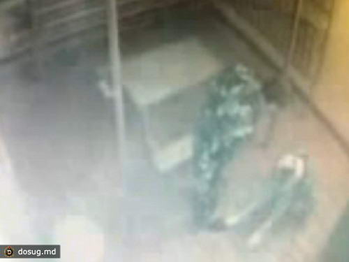 По факту избиения женщин в приамурской колонии возбуждено уголовное дело