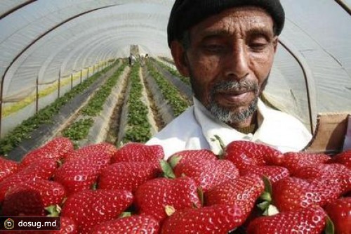 По участникам демонстрации мигрантов в Греции открыли стрельбу