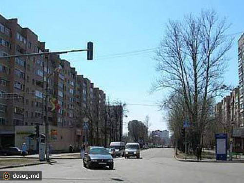 Под Москвой задержали лидера "черных риелторов"