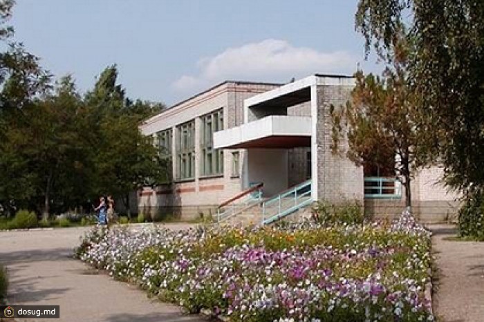 Под Волгоградом выпускник повесился после ЕГЭ