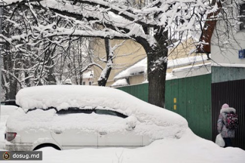 Подмосковье займется утилизацией неправильно припаркованных авто