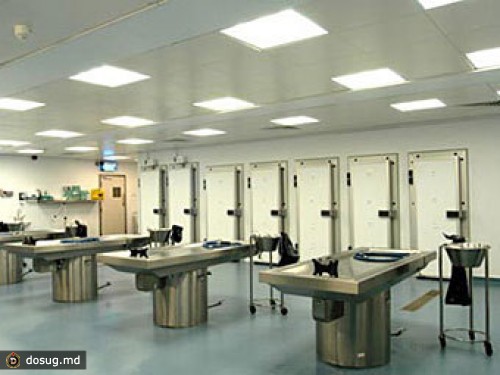 Подопечный морга распугал репетирующих металлистов