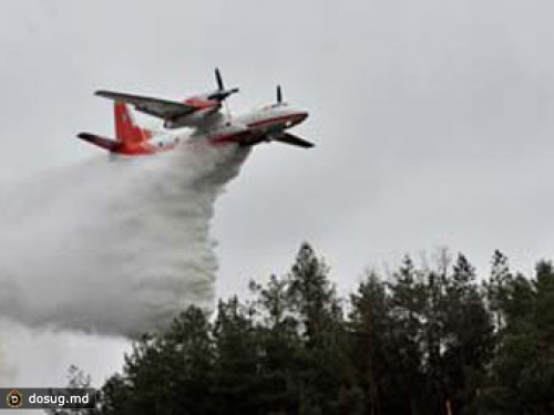Подозреваемого в поджоге ялтинского заповедника проверят на вменяемость
