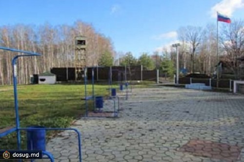 Подрядчика Минобороны обвинили в незаконном обороте оружия