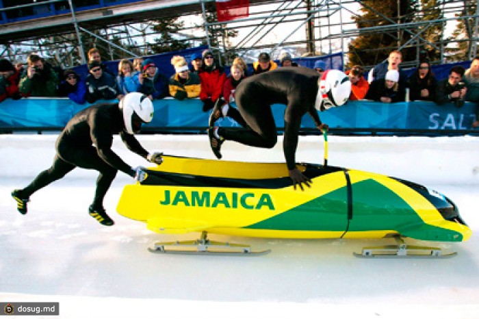 Поездку ямайских бобслеистов в Сочи оплатят «собакоденьгами»