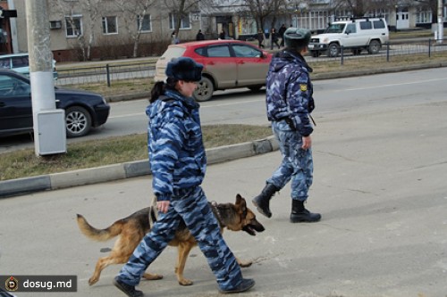 Полиция Ставрополя предотвратила массовую драку