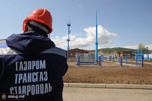 Полиция уличила «дочку» «Газпрома» в уклонении от уплаты налогов