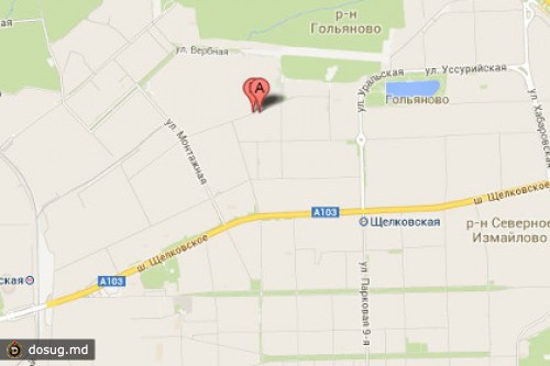 Полиция задержала в Москве 1200 нелегалов
