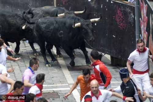 После забега с быками госпитализированы 21 человек