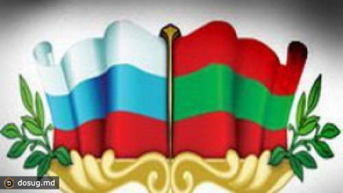 Представители "Единой России" будут наблюдать за выборами в Приднестровье