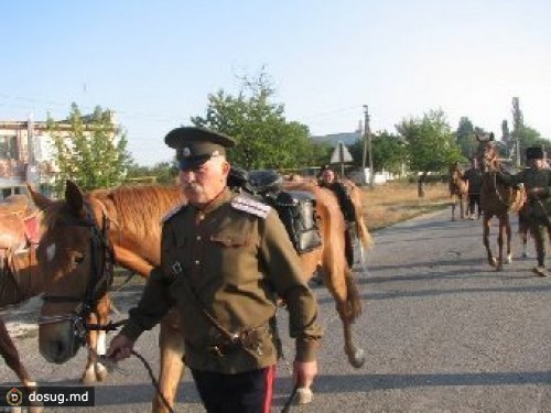При Януковиче предложили создать Совет атаманов