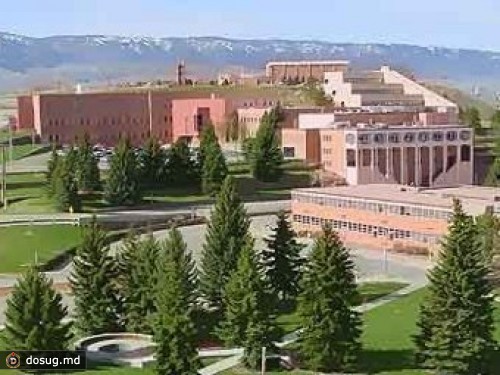 Причиной стрельбы в американском колледже стала плохая наследственность