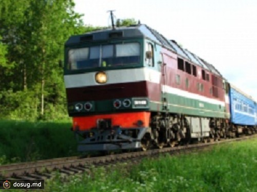Проводнице дали год условно за укус полицейского и плевок в него