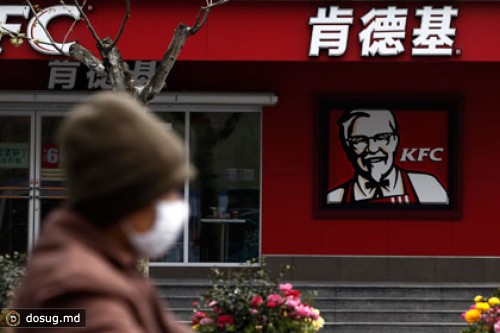 Птичий грипп в Китае обвалил прибыль KFC