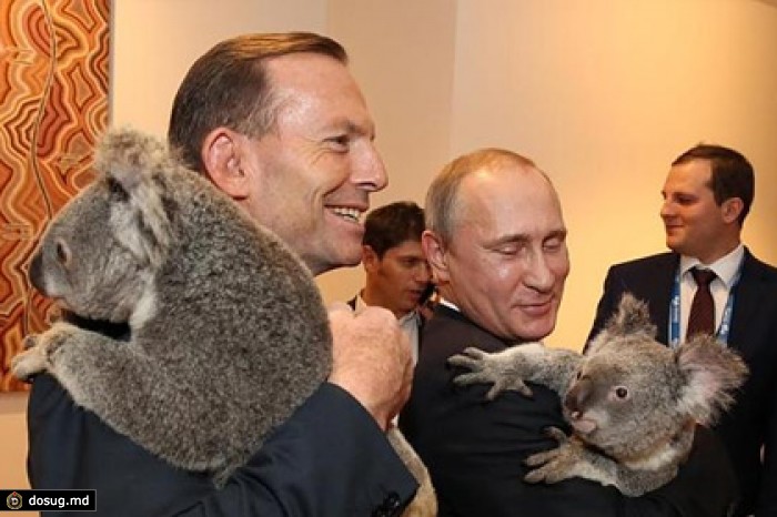 Путин сфотографировался с коалой
