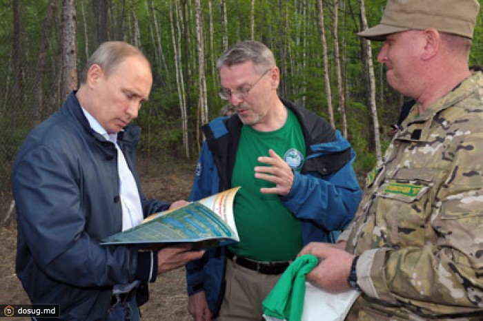 Путин выпустил на волю тигров