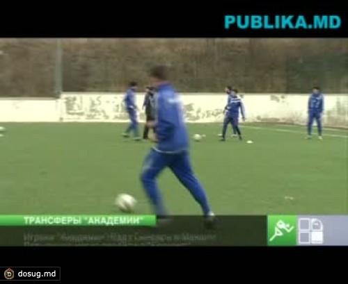 Раду Гынсарь и Максим Потырнике могут перейти в "Борнмут"