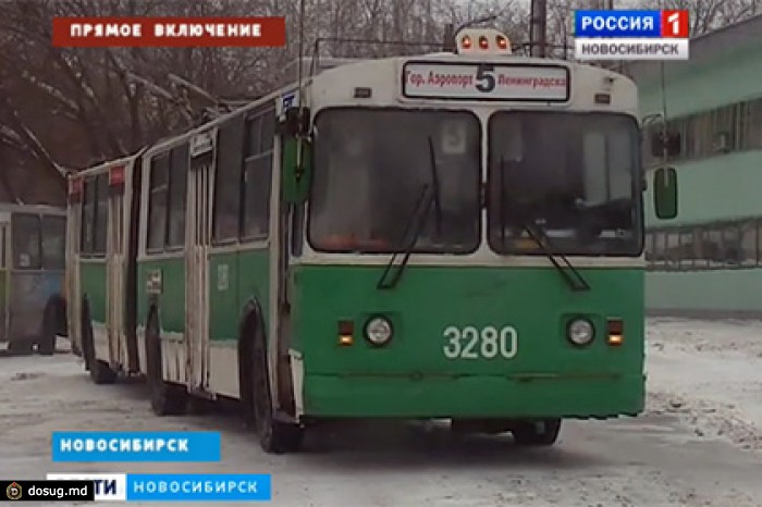Родившая в новосибирском троллейбусе женщина отказалась от ребенка
