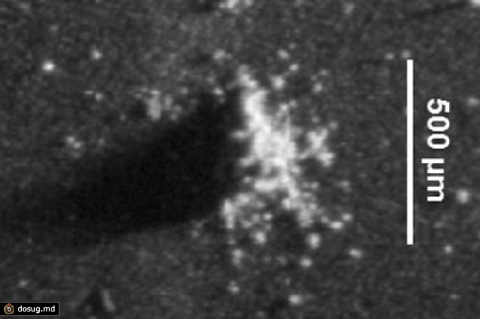 Rosetta нашла на комете частицы межпланетной пыли
