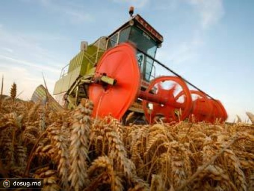 Росгидромет снизил прогноз по урожаю зерна