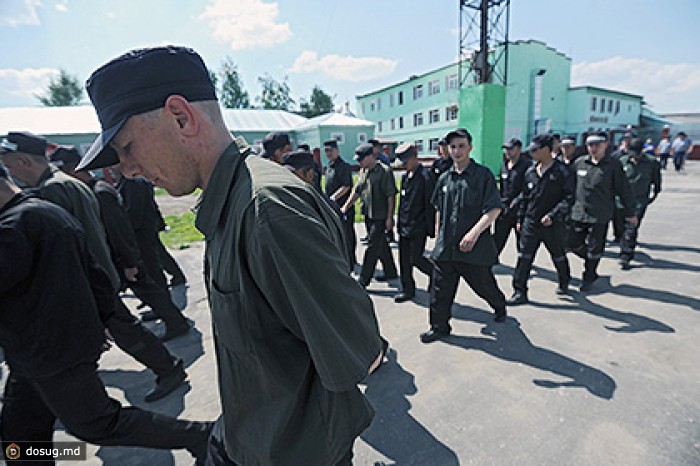 Россияне стали реже выходить на свободу по УДО