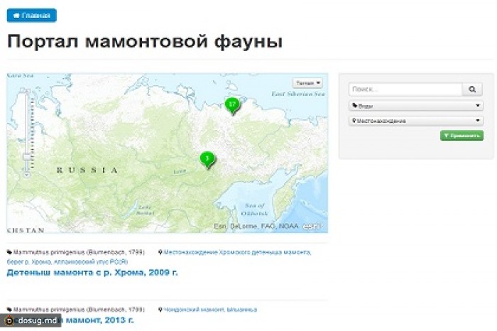 Российские ученые запустили портал о мамонтах