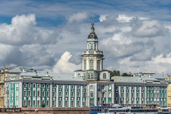 С выставки «Кунсткамера» украли сиамских близнецов
