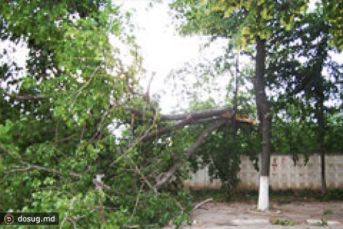 СИЛЬНЫЙ ВЕТЕР ОСТАВИЛ БЕЗ ЭЛЕКТРОЭНЕРГИИ 20 ГОРОДОВ И СЕЛ МОЛДОВЫ