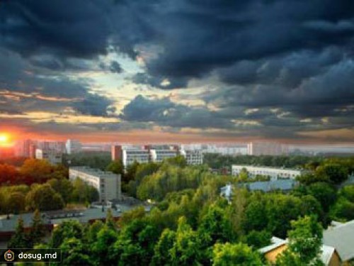 СК опроверг раскрытие убийства подмосковного полицейского